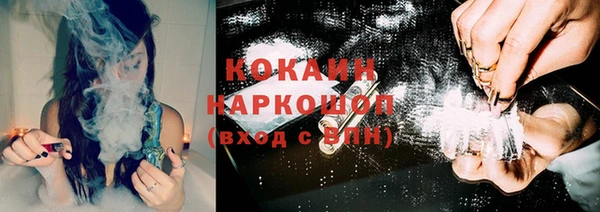 ешки Бородино
