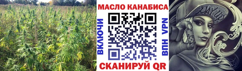 закладка Нерюнгри ТГК концентрат
