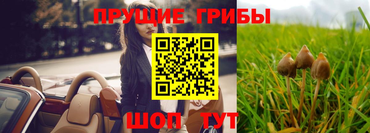 Галлюциногенные грибы ЛСД  где найти   Галлюциногенные грибы Psilocybe  Нерюнгри  Вход с VPN 