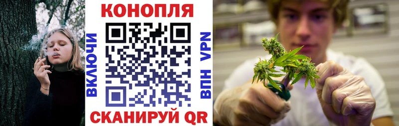 МАРИХУАНА тримм  Нерюнгри 